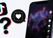 Kenapa Like TikTok Tiba-tiba Hilang? Cek Penyebab dan Solusinya di Sini