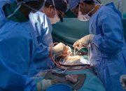 China Berhasil Transplantasi Ginjal dan Hati Babi ke Manusia