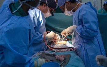 China Berhasil Transplantasi Ginjal dan Hati Babi ke Manusia