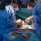 China Berhasil Transplantasi Ginjal dan Hati Babi ke Manusia