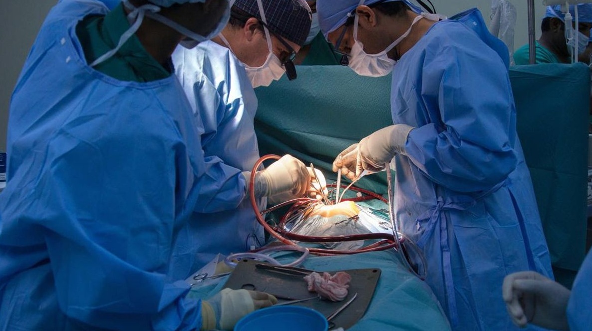China Berhasil Transplantasi Ginjal dan Hati Babi ke Manusia