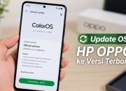 Cara Update OS HP OPPO ke Versi Terbaru dengan Aman