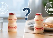 Minum Yakult Sebelum atau Sesudah Makan, Mana Waktu terbaik?