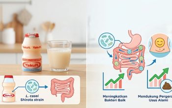 Apakah Yakult Bisa Melancarkan BAB? Ini Faktanya