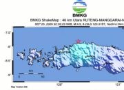 Gempa M4,9 Guncang Flores, Terasa hingga Manggarai Barat