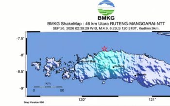 Gempa M4,9 Guncang Flores, Terasa hingga Manggarai Barat