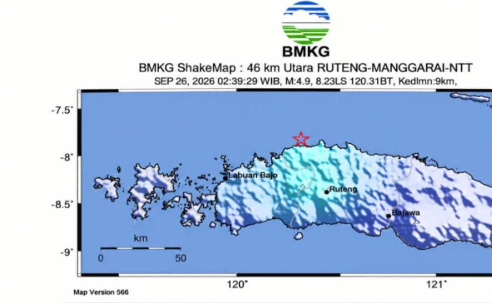 Gempa M4,9 Guncang Flores, Terasa hingga Manggarai Barat