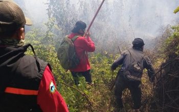 Karhutla Rinjani Meluas, Pendaki dari Senaru dan Torean Dialihkan