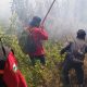 Karhutla Rinjani Meluas, Pendaki dari Senaru dan Torean Dialihkan