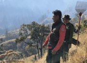 Kebakaran Gunung Rinjani Padam, Pemulihan Mulai Dilakukan