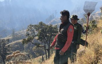 Kebakaran Gunung Rinjani Padam, Pemulihan Mulai Dilakukan