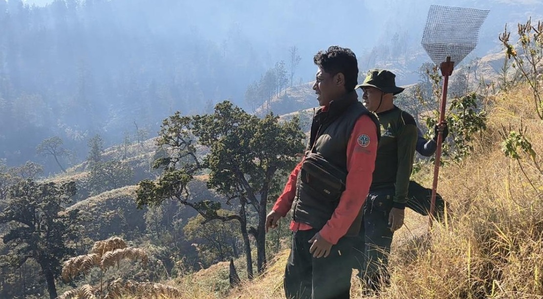 Kebakaran Gunung Rinjani Padam, Pemulihan Mulai Dilakukan