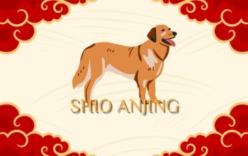 Ramalan Shio Anjing September 2026: Karier dan Asmara Cerah