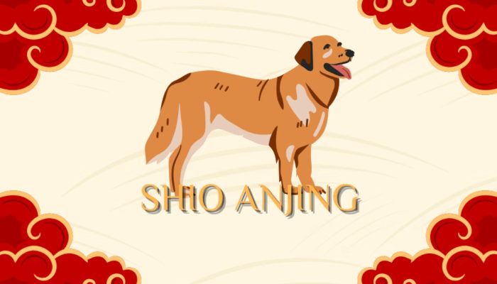 Ramalan Shio Anjing September 2026: Karier dan Asmara Cerah