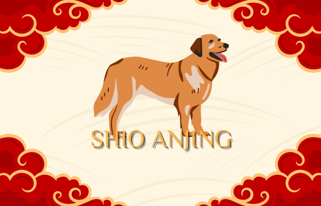Ramalan Shio Anjing September 2026: Karier dan Asmara Cerah