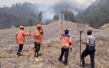Wisata Bromo Ditutup Total, Ini Penyebabnya