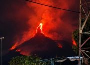 Kebakaran Gunung Arjuno-Welirang kembali terjadi di Gumandar dan Gunung Ringgit. Simak lokasi titik api dan upaya pemadaman terbaru.