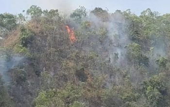 Kebakaran Gunung Loka Bantaeng Meluas, Api Sempat Dekati Permukiman