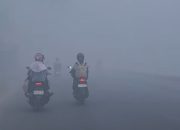 Asap kebakaran hutan dan lahan mengandung campuran gas, senyawa kimia, serta partikel halus yang dapat mengganggu kesehatan ketika terhirup.