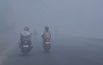 Asap kebakaran hutan dan lahan mengandung campuran gas, senyawa kimia, serta partikel halus yang dapat mengganggu kesehatan ketika terhirup.