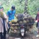 Panen raya durian di Lubuklinggau membuat harga buah lokal mulai Rp10 ribu. Simak lokasi penjualan, pilihan ukuran, dan daya tariknya bagi pembeli.