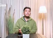 Ruben Onsu mengungkap alasan mengadopsi Thayaka Putra Onsu, dari pertemuan saat bayi itu membutuhkan pertolongan hingga renungan setelah umrah.