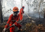 Wilayah terdampak kabut asap per 17 Oktober 2026 mencapai 26 wilayah versi BMKG. Cek daftarnya dan langkah aman saat kualitas udara memburuk.
