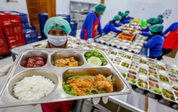 Susu MBG wajib 80 persen dari peternak lokal mulai 1 November 2026, membuka peluang pasar bagi peternak sapi perah dan produsen susu dalam negeri.
