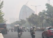 Polusi udara Sulawesi Selatan mengancam 16 daerah pada 14 Oktober 2026. Simak daftar wilayah, risiko PM2.5, dan langkah perlindungan diri.