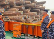 Dua kapal bermuatan 8.388,51 meter kubik kayu diperiksa TNI AL di perairan Pulau Buru setelah ditemukan dugaan pelanggaran pelayaran dan konservasi.
