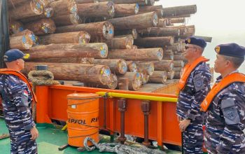 Dua kapal bermuatan 8.388,51 meter kubik kayu diperiksa TNI AL di perairan Pulau Buru setelah ditemukan dugaan pelanggaran pelayaran dan konservasi.